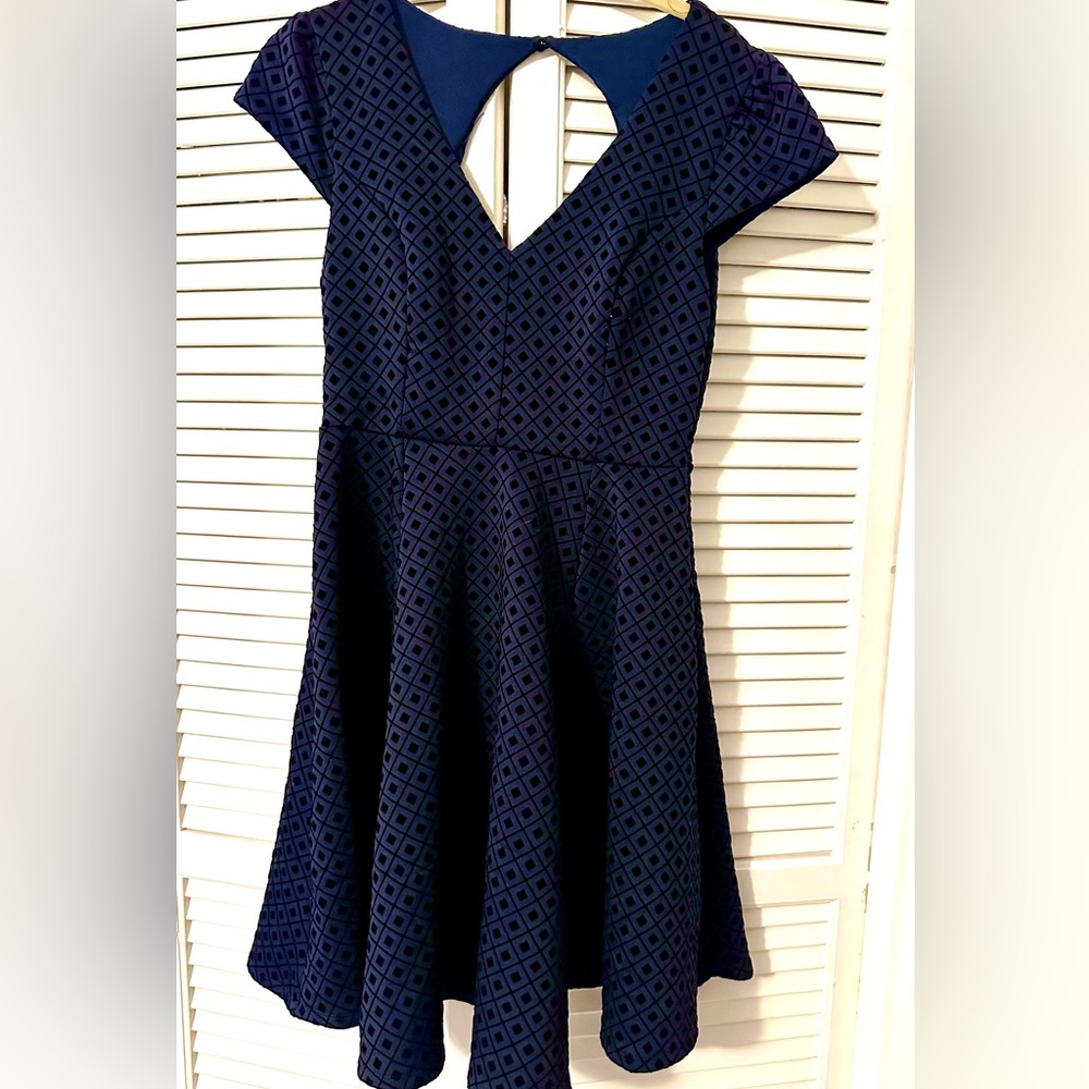 Navy Blue Skate Dress
